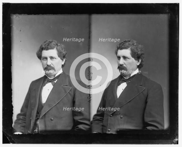 Mark Spencer Brewer of Michigan, 1865-1880.  Creator: Unknown.