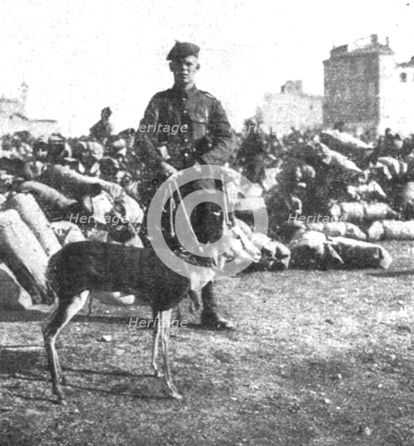 'Marseille en Fete; La gazelle-mascotte du regiment ecossais de l'Afrique du Sud', 1916. Creator: Unknown.