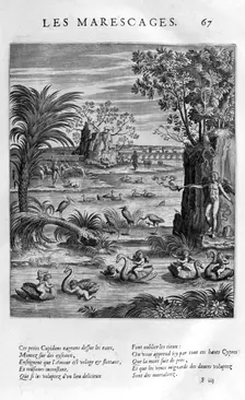 Marsh 1615. Artist: Leonard Gaultier