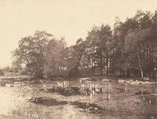 Marsh at Piat (Belle-Croix Plateau), c. 1863. Creator: Eugène Cuvelier