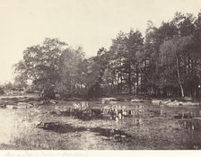 Marsh at Piat (Belle-Croix Plateau), c. 1863. Creator: Eugène Cuvelier
