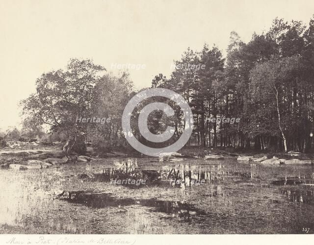 Marsh at Piat (Belle-Croix Plateau), c. 1863. Creator: Eugène Cuvelier.