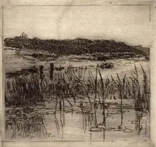 Marsh, c1880-1900. Creator: William Forsyth