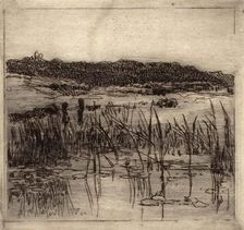 Marsh, c1880-1900. Creator: William Forsyth