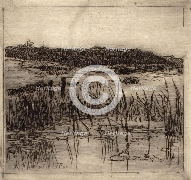 Marsh, c1880-1900. Creator: William Forsyth.