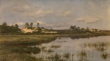 Marsh in the Heath, late 19th-early 20th century. Creator: Alfred Elsen