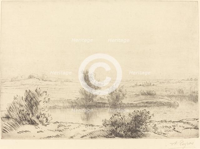 Marsh (Les marais). Creator: Alphonse Legros.