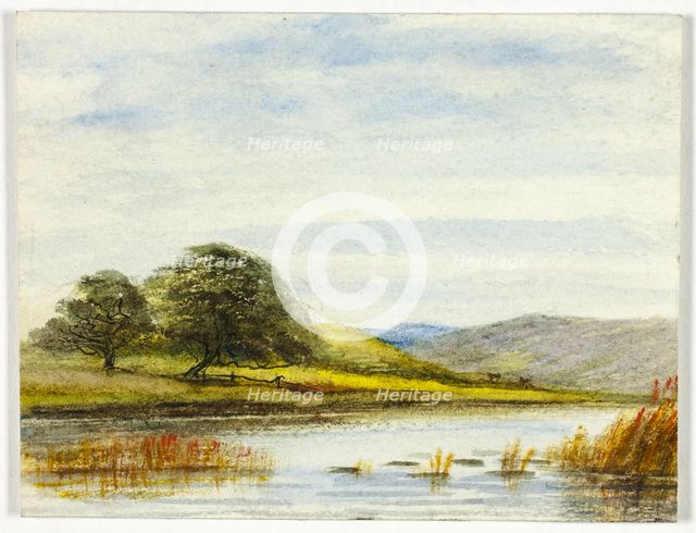 Marshy Landscape, 1800-1899. Creator: Unknown.