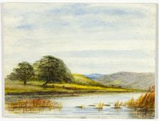 Marshy Landscape, 1800-1899. Creator: Unknown