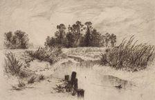 Marshy Landscape with Stream, c1860-1900. Creator: Thomas Moran