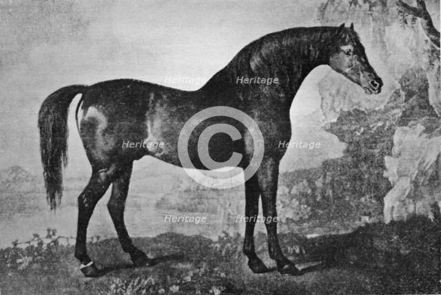 'Marske', 1750-1779, (1911). Artist: Unknown.