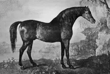 Marske 1750-1779, (1911)