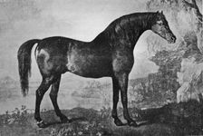 Marske 1750-1779, (1911)