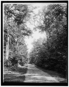 Marquette, Mich., the drive, between 1880 and 1899. Creator: Unknown