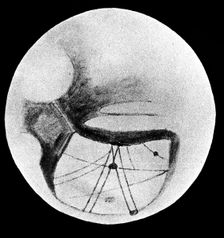Martian double canals 'Phison and Euphrates as observed on 18 November 1894
