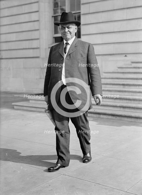 Martin David Foster, Representative from Illinois 1914. Creator: Harris & Ewing.