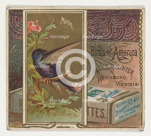 Martin, from the Birds of America series (N37) for Allen & Ginter Cigarettes, 1888. Creator: Allen & Ginter.
