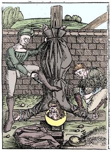 Martyrdom of St Peter, Rome, c64 (1493)