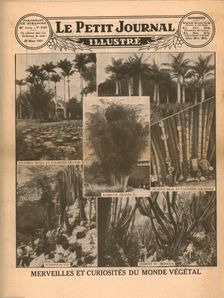 Marvels and curiosities of the plant world, 1931. Creator: Unknown
