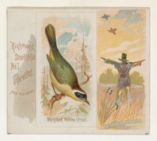 Maryland Yellow-throat, from the Song Birds of the World series (N42) for Allen & Ginter C..., 1890. Creator: Allen & Ginter