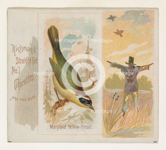 Maryland Yellow-throat, from the Song Birds of the World series (N42) for Allen & Ginter C..., 1890. Creator: Allen & Ginter.