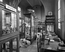 Mason's College, Paradise Street, Birmingham, West Midlands, 1897. Artist: Henry Bedford Lemere