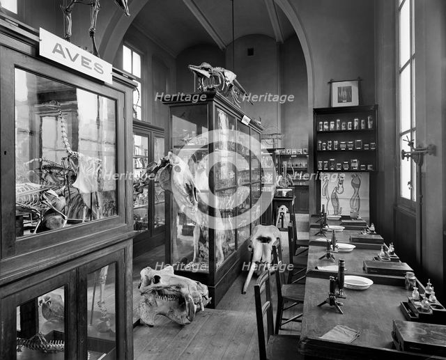 Mason's College, Paradise Street, Birmingham, West Midlands, 1897. Artist: Henry Bedford Lemere.
