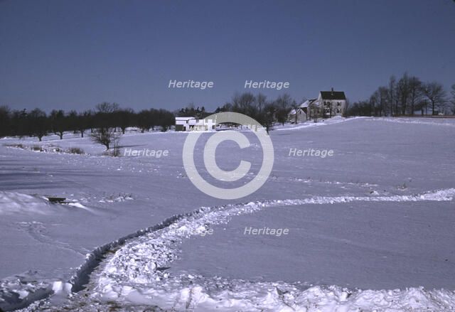 Massachusetts farm, possibly around Brockton, Mass., ca. 1940. Creator: Jack Delano.