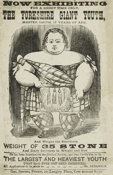 Master Smith, The Yorkshire Giant Youth, at the Agricultural Hall in Islington, 1873. Creator: Unknown