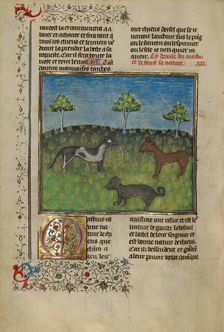 Mastiffs; Livre de la Chasse, about 1430-1440. Creator: Unknown