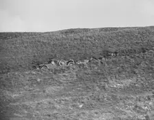 MCC Sporting Trial, Litton Slack, Derbyshire, 1930. Artist: Bill Brunell