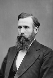 McGowan, Hon. J.H. of Mich., between 1870 and 1880. Creator: Unknown