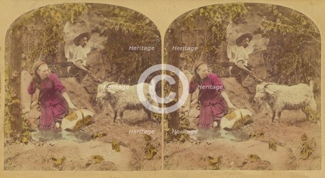 Met a Tartar (Papa's Dinner Gone.), 1876. Creator: L. Melander & Bro.