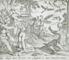 Metamorphosis of the Pierides, published 1606. Creators: Antonio Tempesta, Wilhelm Janson