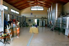 Metaxas Wine Estate, Kefalonia, Greece. Creator: Peter Thompson