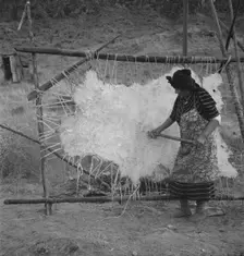 Method of scraping hide for softening, Indian fishing village, Oregon, 1939. Creator: Dorothea Lange