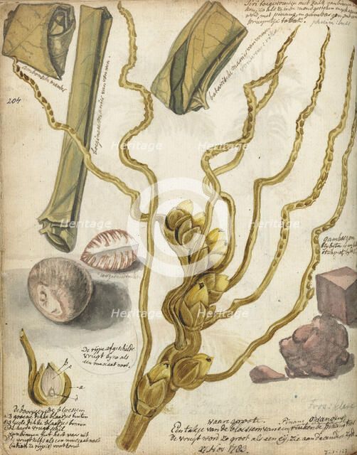 Methods for making Sirih, 1783. Creator: Jan Brandes.