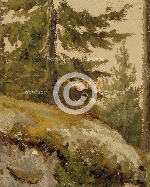 Metsännyplä, sketch, (forest, sketch),  c1890s. Creator: Albert Edelfelt.