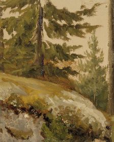 Metsännyplä, sketch, (forest, sketch), c1890s. Creator: Albert Edelfelt