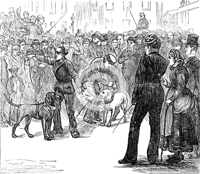 Metropolitan Boroughs election sketches: "Whig" and "Tory", 1874. Creator: Unknown.
