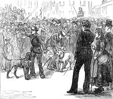 Metropolitan Boroughs election sketches: "Whig" and "Tory", 1874. Creator: Unknown