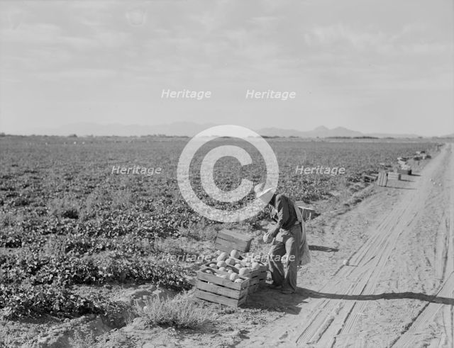 Mexican cantaloupe worker at 5:00 am, Imperial Valley, California, 1938. Creator: Dorothea Lange.