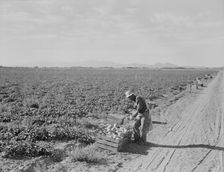 Mexican cantaloupe worker at 5:00 am, Imperial Valley, California, 1938. Creator: Dorothea Lange