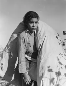 Mexican cotton picker, Southern San Joaquin Valley, California, 1936. Creator: Dorothea Lange