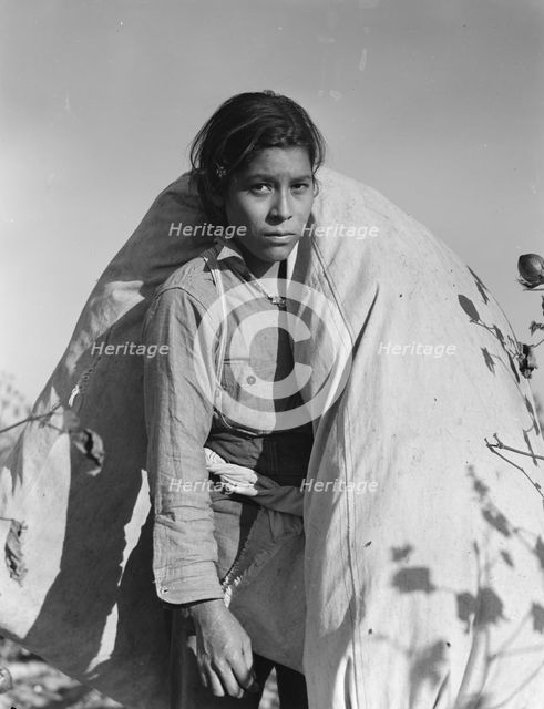 Mexican cotton picker, Southern San Joaquin Valley, California, 1936. Creator: Dorothea Lange.