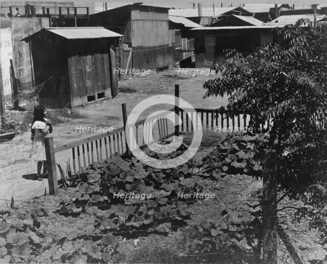 Mexican field laborers' houses, Brawley, Imperial Valley, California, 1935. Creator: Dorothea Lange.
