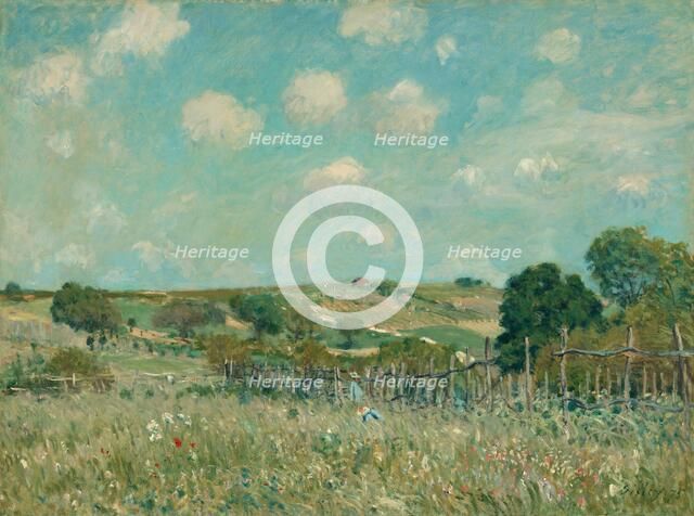 Meadow, 1875. Creator: Alfred Sisley.