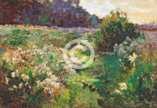 Meadow, 1926. Creator: Wisinger-Florian, Olga (1844-1926).