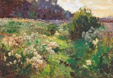 Meadow, 1926. Creator: Wisinger-Florian, Olga (1844-1926)