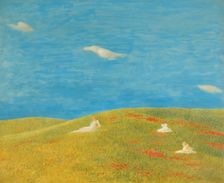 Meadow